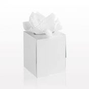 facial tissues cube box